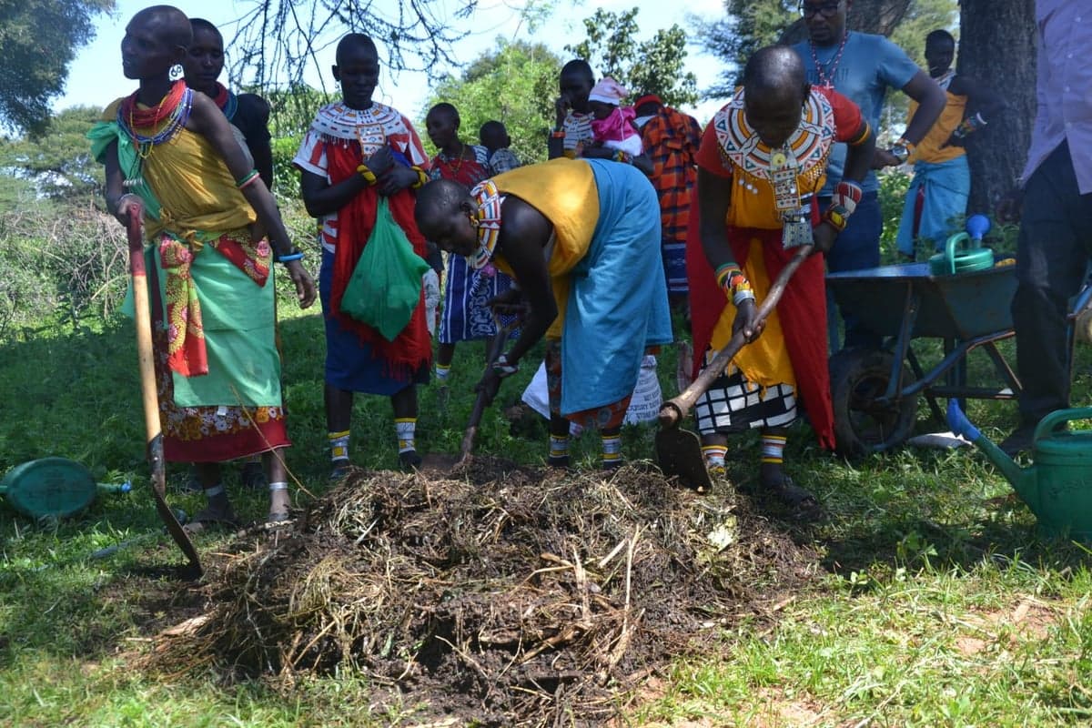 Reports & Publications