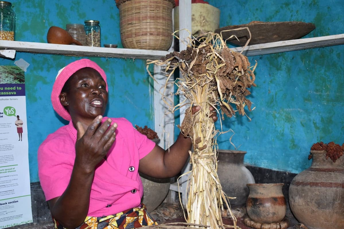 Food Farmacy & Herbarium