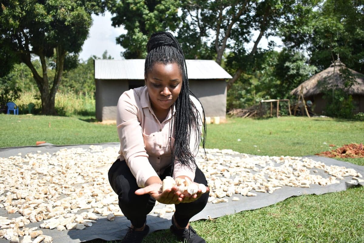 Farmer Innovation, Learning & Knowledge Exchange