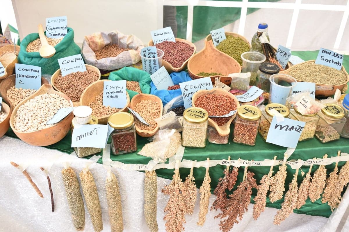 Harvesting, Post-Harvest & Value Addition