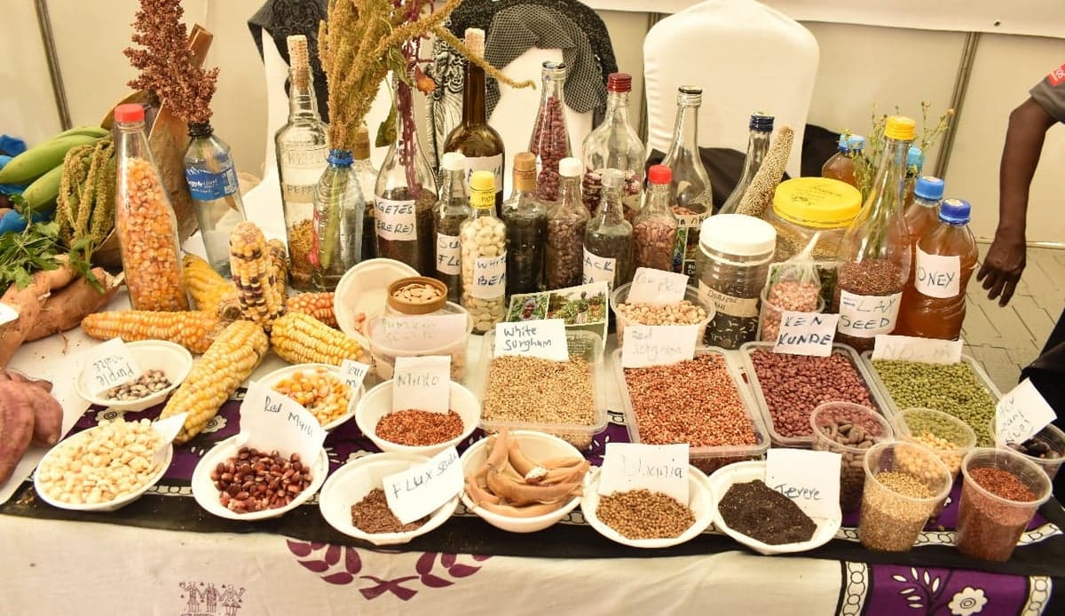 Indigenous Seeds, Food Systems & Preservation